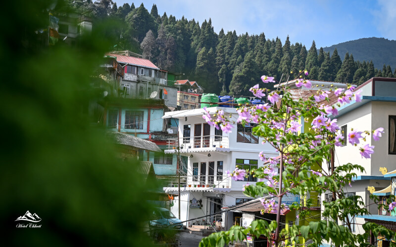 Hotel Chhuti, Lava